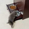 Pet snack storage cabinet-with food bowl