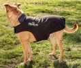 Helios Lotus-Rusher Waterproof 2-in-1 Convertible Dog Jacket w/ Blackshark technology