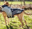 Helios Lotus-Rusher Waterproof 2-in-1 Convertible Dog Jacket w/ Blackshark technology